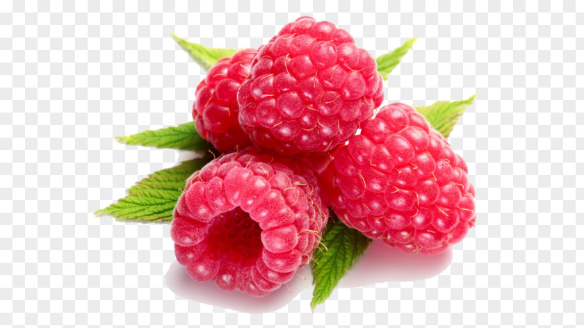 Raspberry Herbal Tea Boysenberry PNG