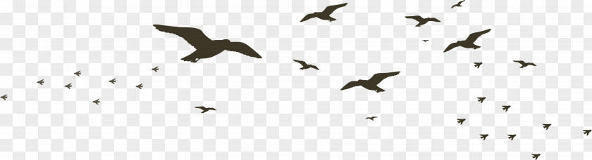 Rows Of Wild Geese Beak Black And White Technology Pattern PNG