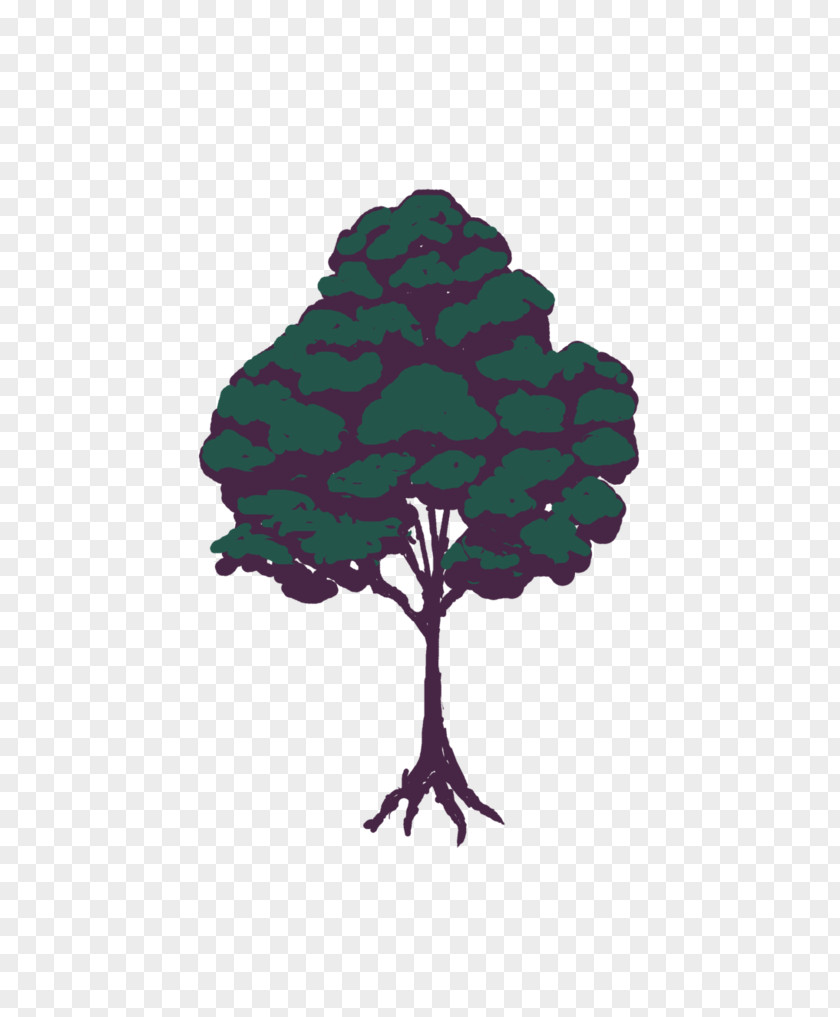 Tree Leaf Font PNG