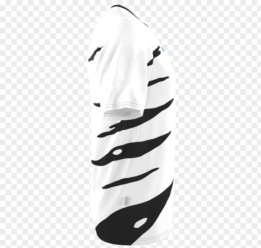 Zebra Illustration White Shoe PNG