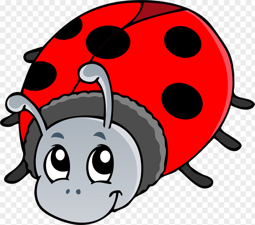 Bug Educational Game Didactic Method Child PNG