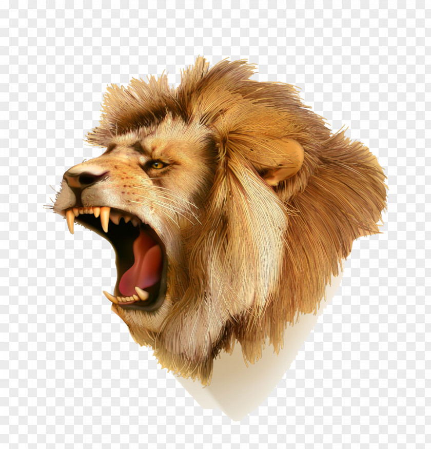Cartoon Lion Tiger Icon PNG