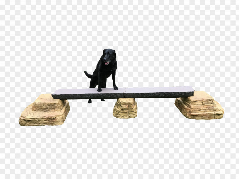 Dog Balance Beam Wood Sporting Goods PNG