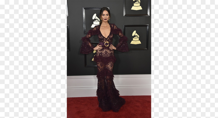 Grammy Award 59th Annual Awards Staples Center Red Carpet Fashion PNG