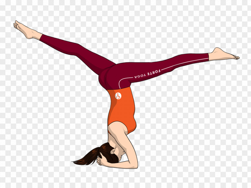 Yoga Headstand Sirsasana Vriksasana Handstand PNG