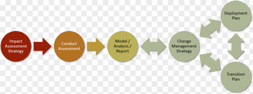 Assessment Impact Business Process Change Management PNG