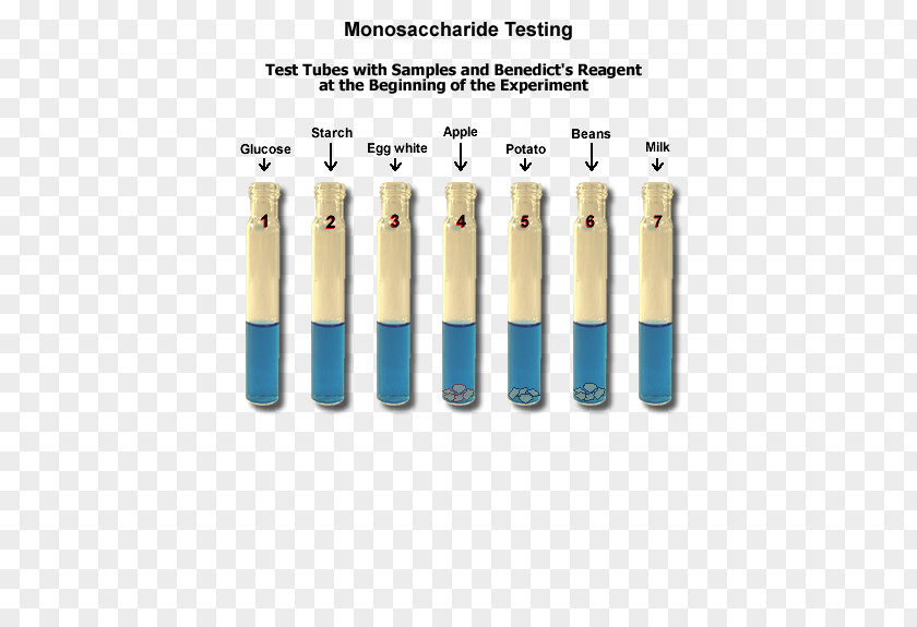 Biology Cylinder PNG