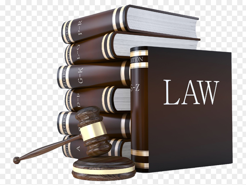 Lawyer Bar Examination Association Law Firm PNG
