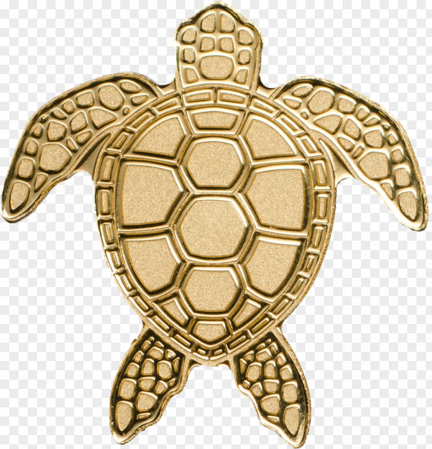 Turtle Tortoise Palau Gold Coin PNG