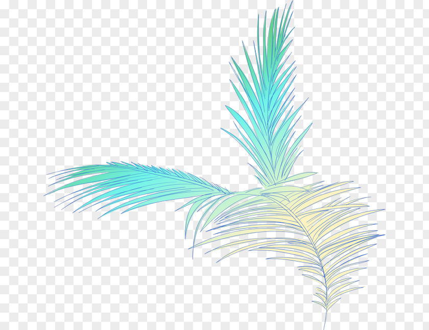 Color Coconut Leaves Leaf Illustration PNG