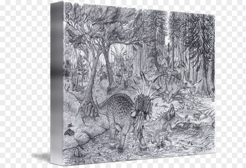 Drawing Styracosaurus Carnivora Gallery Wrap Picture Frames PNG