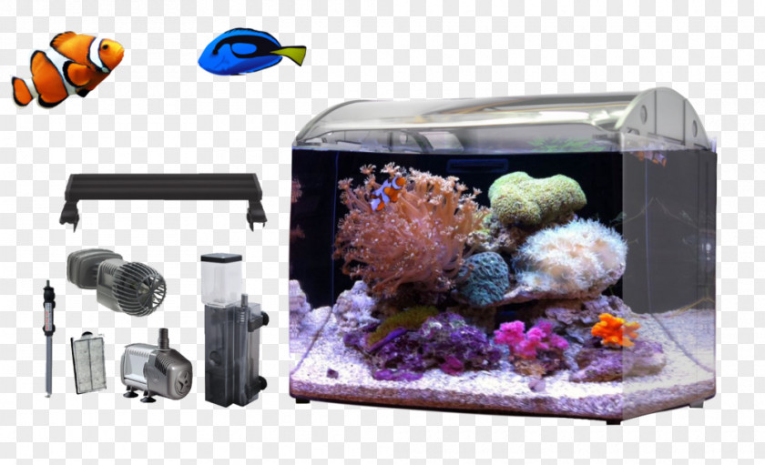 Dream Aquarium Aquariums Akwarystyka Morska Nano Zee Bergen Aan PNG