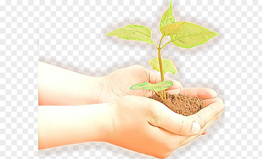 Flowerpot Plant Stem Hand Leaf Tree Soil PNG
