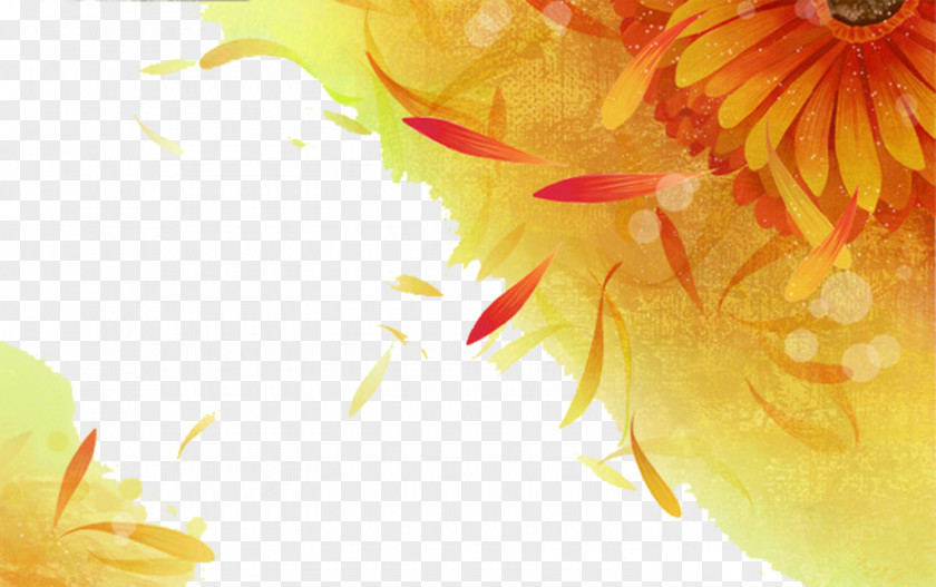 Free Falling Daisy Background To Pull The Material Watercolor Painting Chrysanthemum Yellow PNG