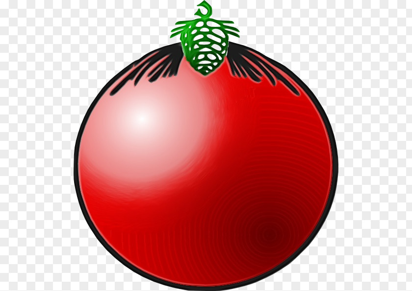 Fruit Plant Christmas Decoration Drawing PNG