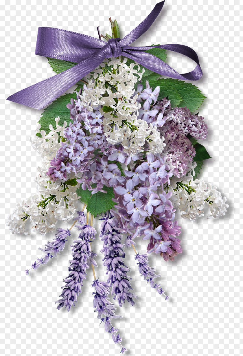Lilac Wisteria Sinensis Flower Purple Download PNG