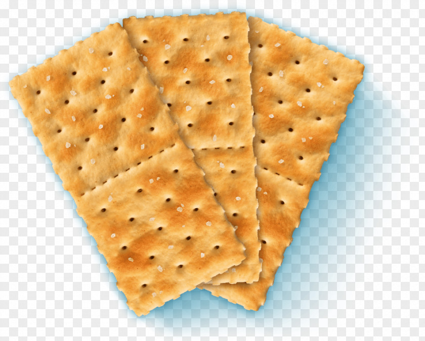 Salt Saltine Cracker Graham Yeast PNG