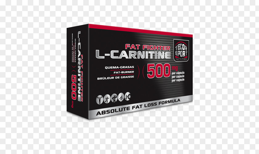 Suplements Levocarnitine Dietary Supplement Fat Sports Nutrition PNG