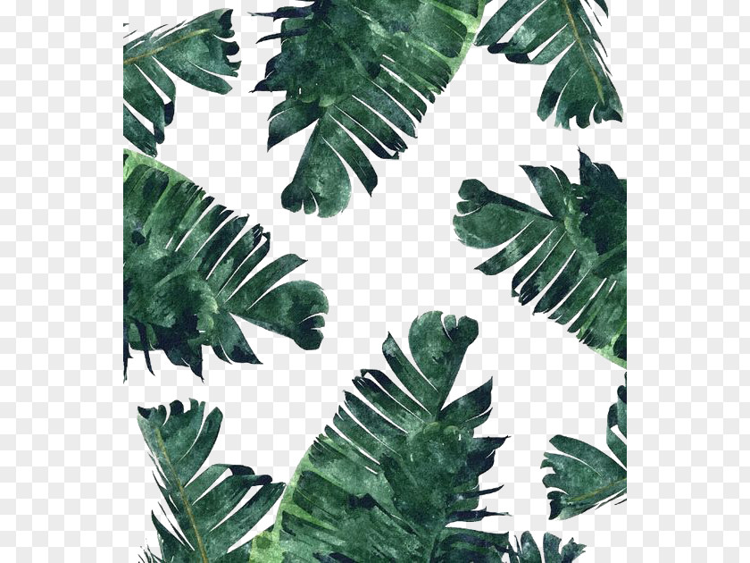 Watercolor Dark Green Banana Leaf Canvas Print Painting Wallpaper PNG