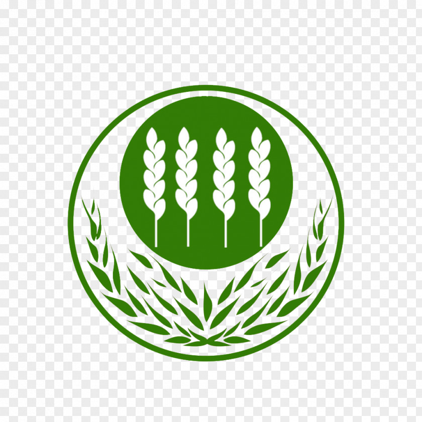 Wheat Vector Logo Vecteur PNG