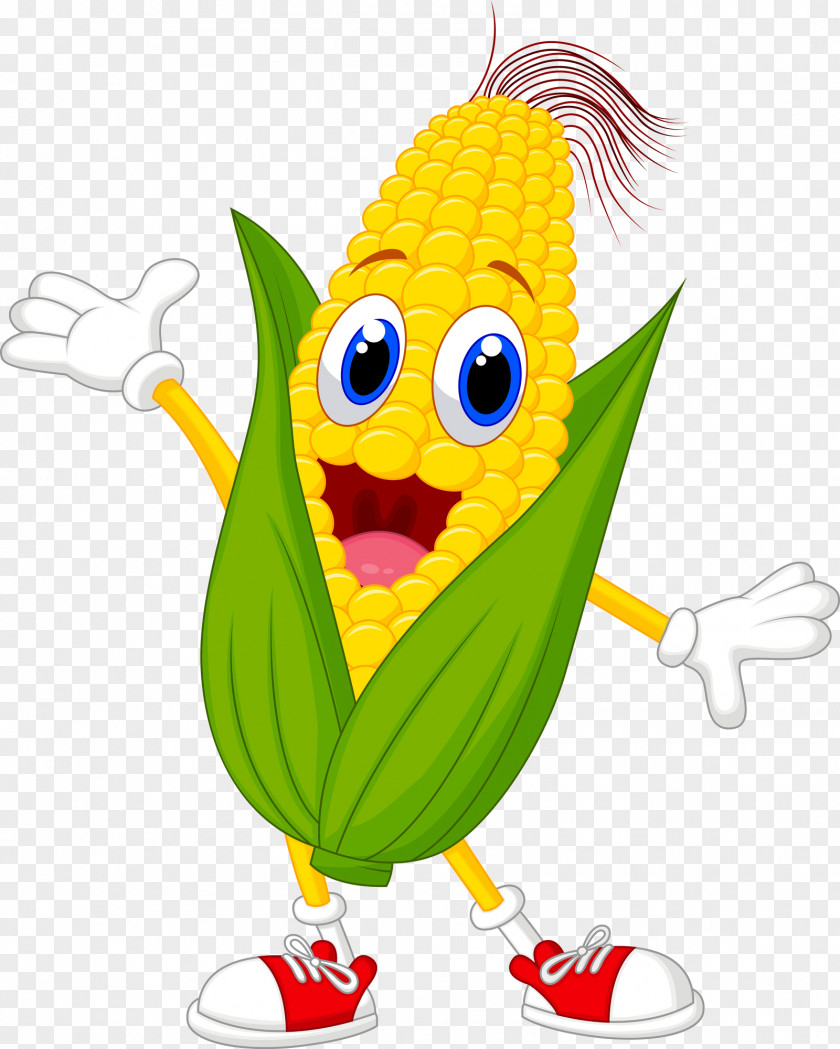 Corn On The Cob Popcorn Maize Cartoon PNG