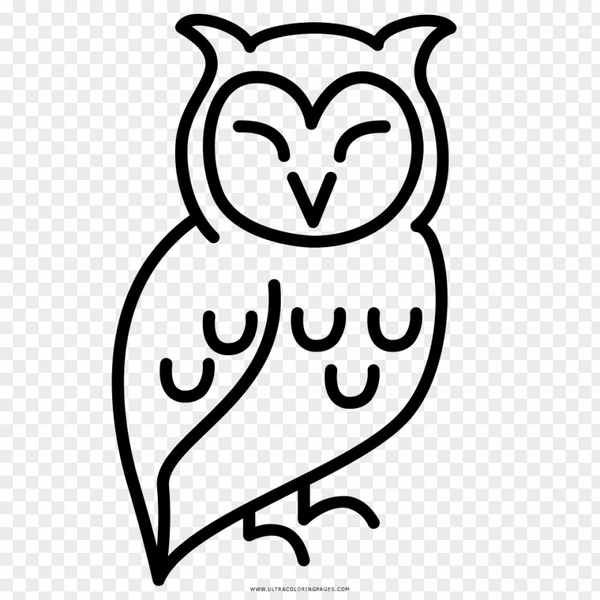 Coruja Drawing Coloring Book Little Owl Black And White PNG