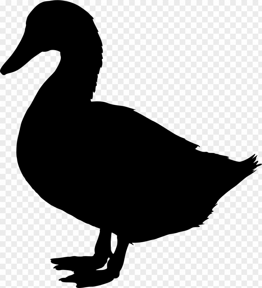 Duck Clip Art Vector Graphics Image PNG