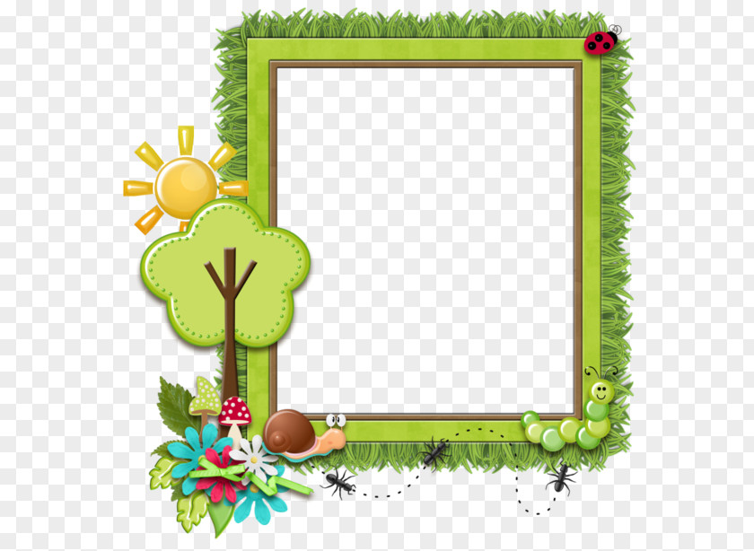 Picture Frames Web Browser Photography PNG
