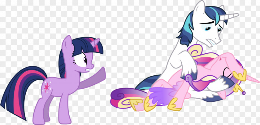 Princess Cadance Pony Twilight Sparkle Rarity PNG