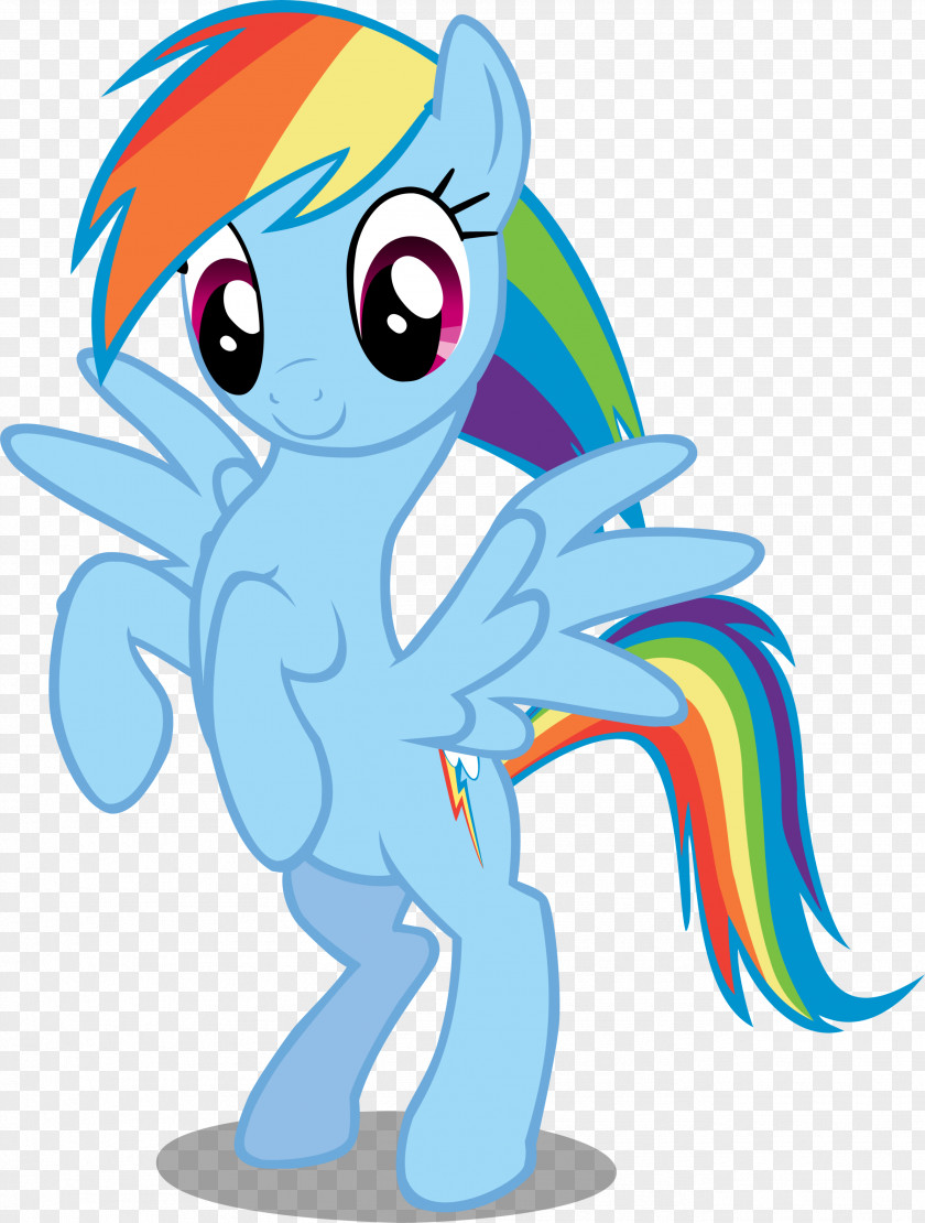 Rainbow Dash Pony Rarity Twilight Sparkle Pinkie Pie PNG