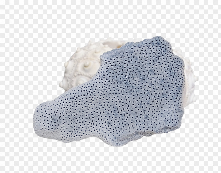 Slate Conch Polka Dot Shoe PNG