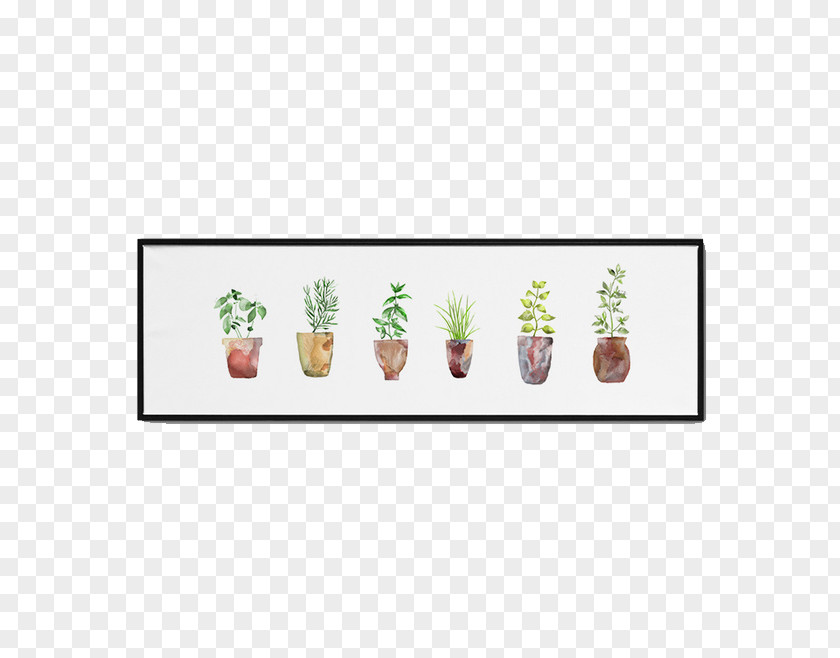 Decorative Plants Drawing Plant PNG