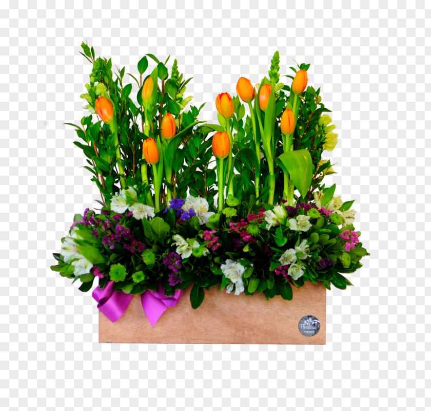 Flower Floral Design Bouquet Floristry Cut Flowers PNG