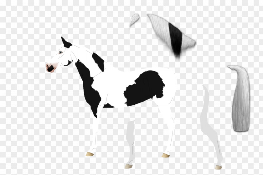 Horse White PNG