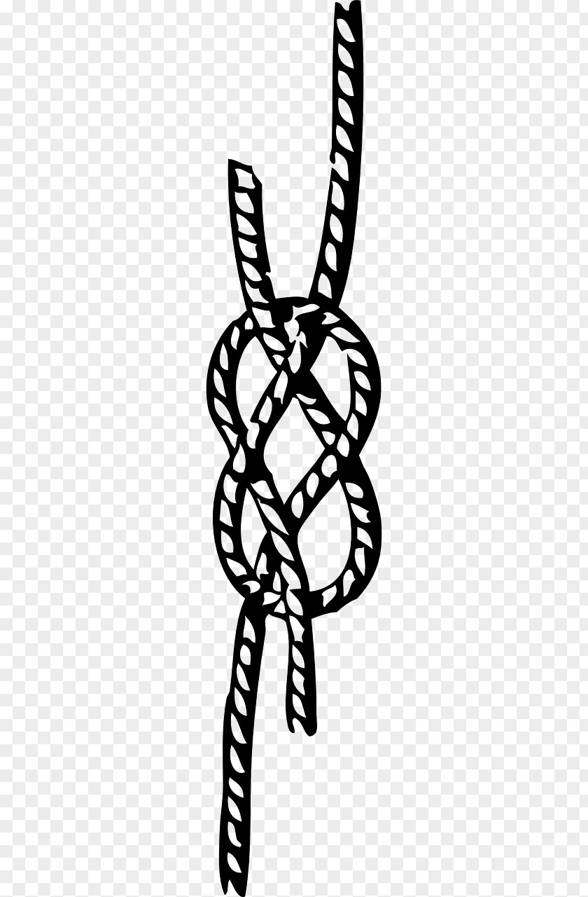 Knot Seizing Clip Art Image Vector Graphics PNG