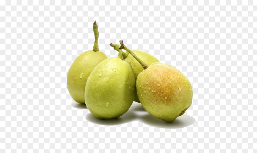 Korla Pear Fruit Avocado Food Apple PNG