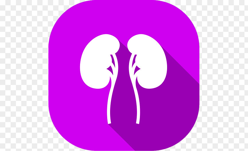 Orko Dialysis Kidney Failure Chronic Disease PNG