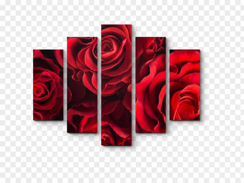 Painting Canvas Panel Art PNG