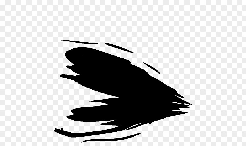Silhouette Black Beak White Clip Art PNG