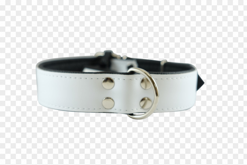 White Collar Dog Belt Buckles PNG