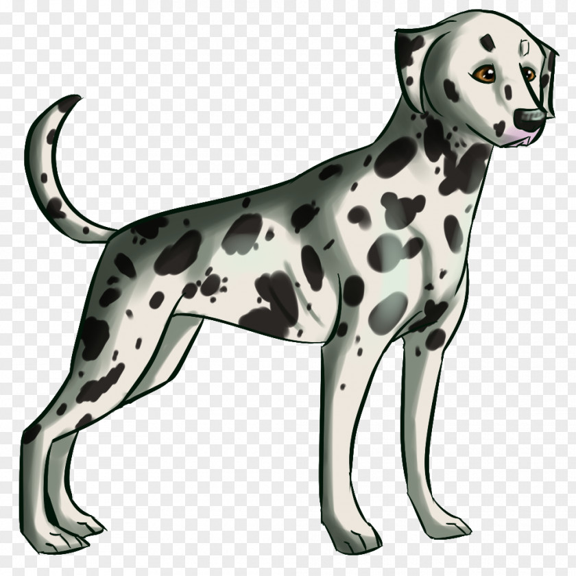 Dalmatians Dalmatian Dog Breed Companion Non-sporting Group Paw PNG