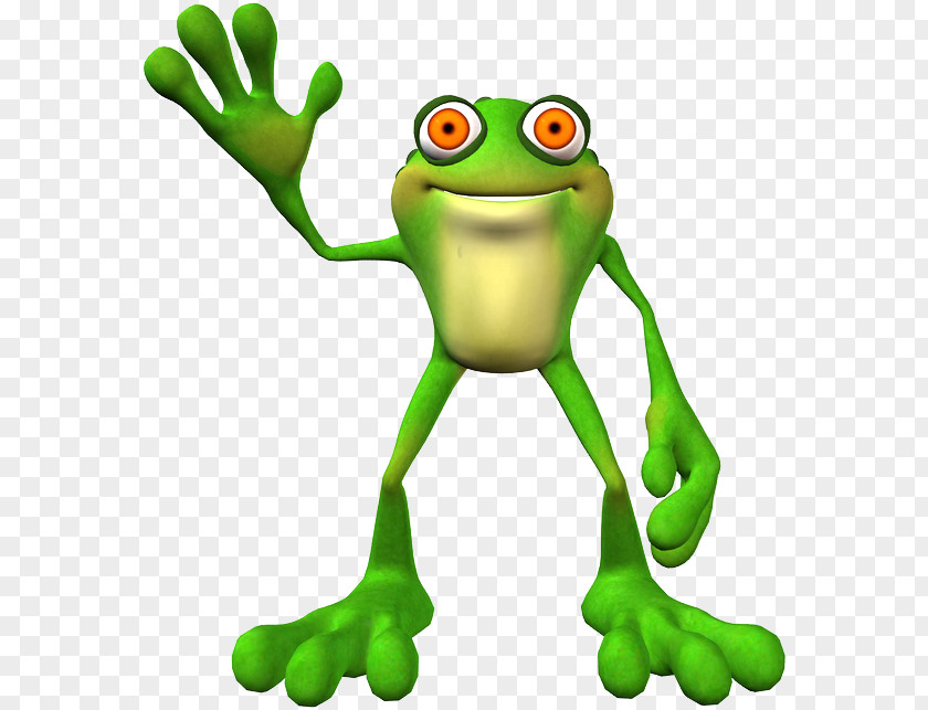 Frog Animation Cartoon PNG