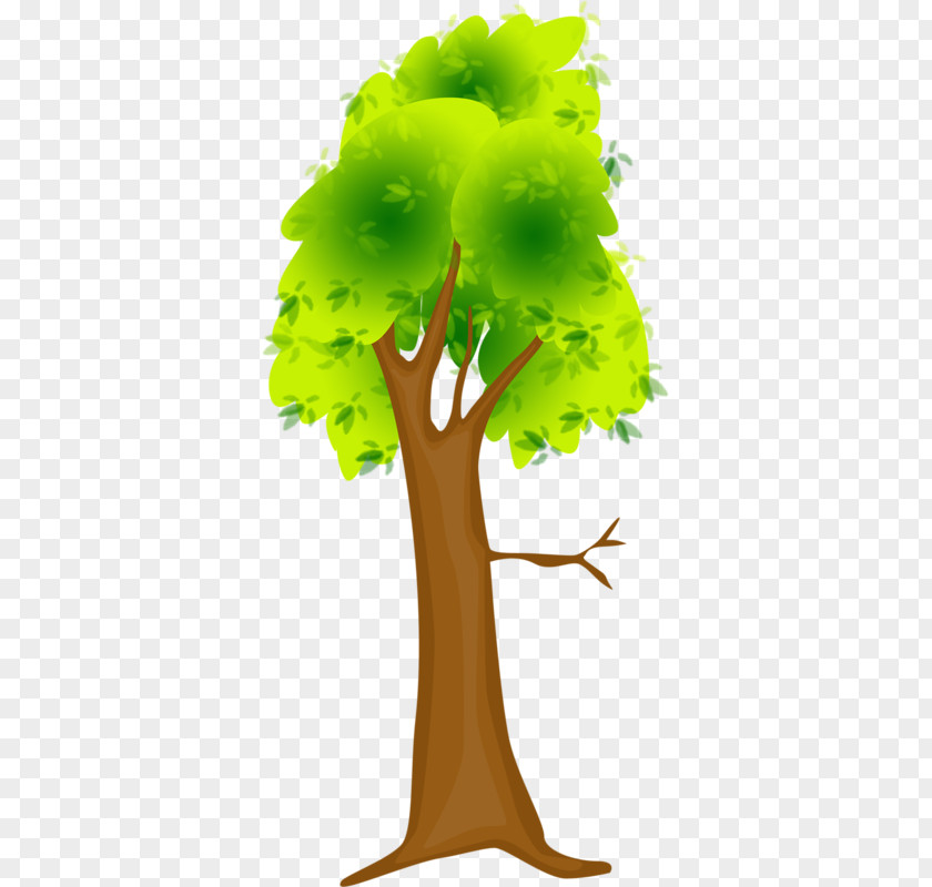 Green Tree Illustration PNG