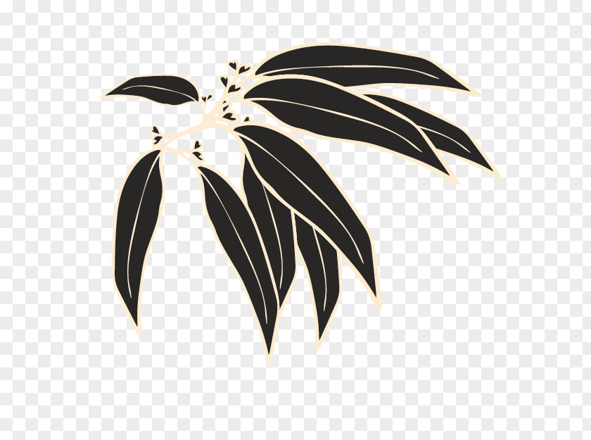 Plant PNG