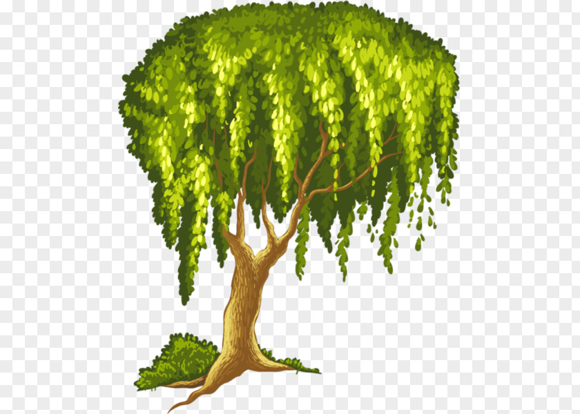 Tree Royalty-free Stock Photography Clip Art PNG
