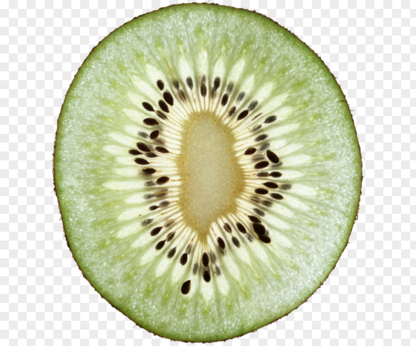Bergamot Clip Art Kiwifruit Image PNG