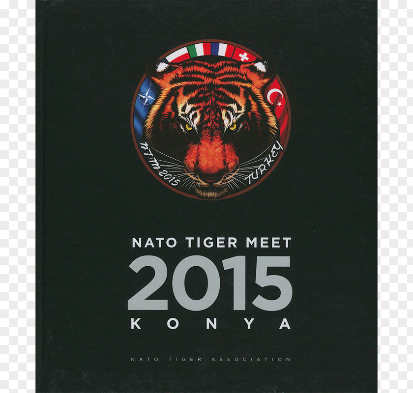 Double Twelve Display Model NATO Tiger Association Landivisiau Airbase Flottille 11F PNG