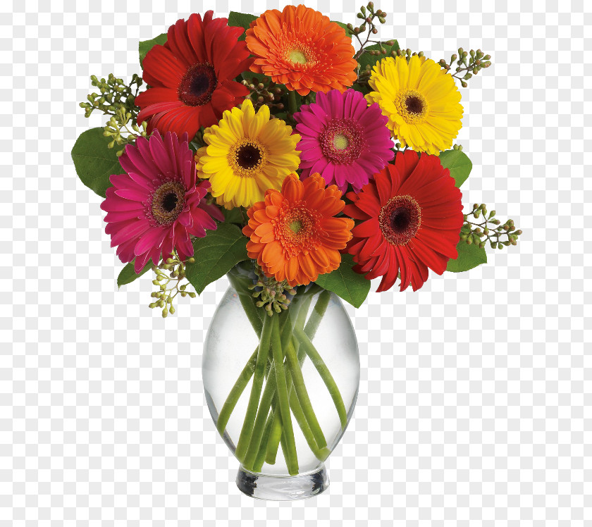 Flower Transvaal Daisy Bouquet Cut Flowers Floristry PNG