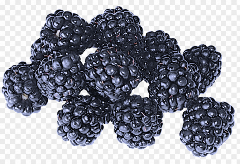 Frutti Di Bosco Mulberry Blackberry Berry Rubus Fruit Loganberry PNG