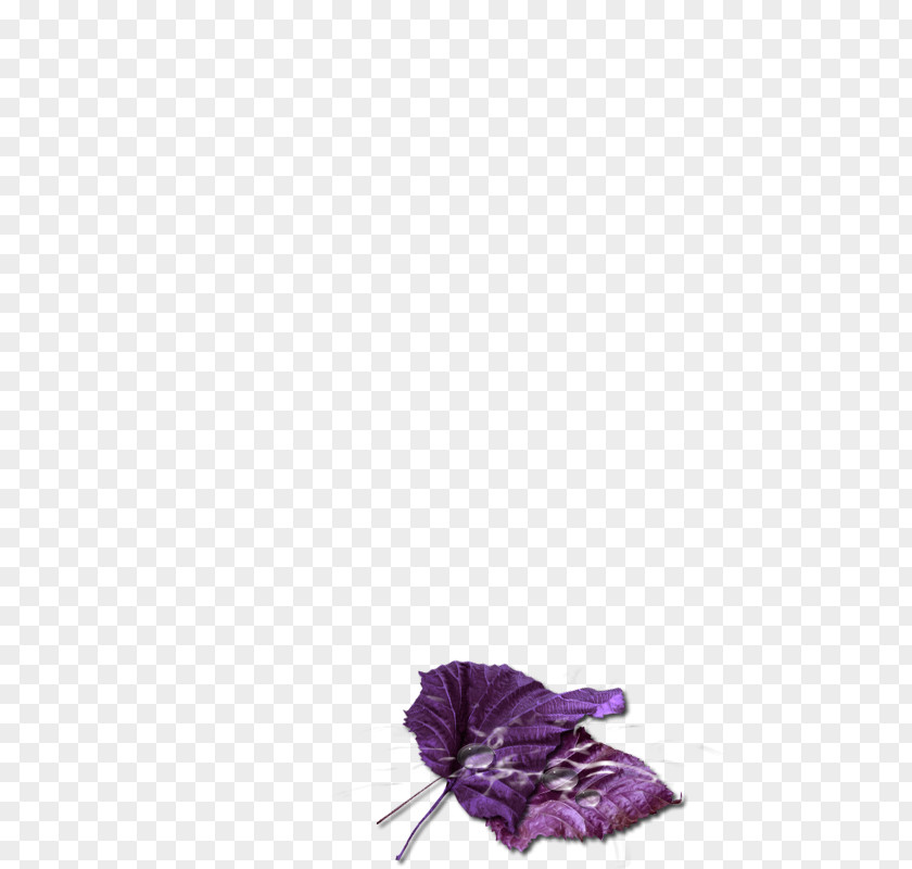 Petal Cut Flowers Violet PNG